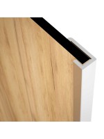PERFIL U-4-DUCHA PLATA BR.2