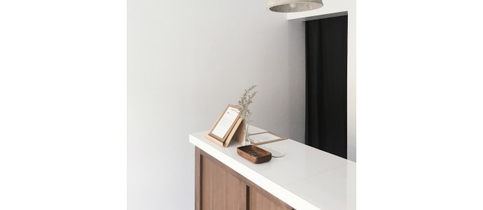 Ipsum cursus vestibulum at interdum Vivamus